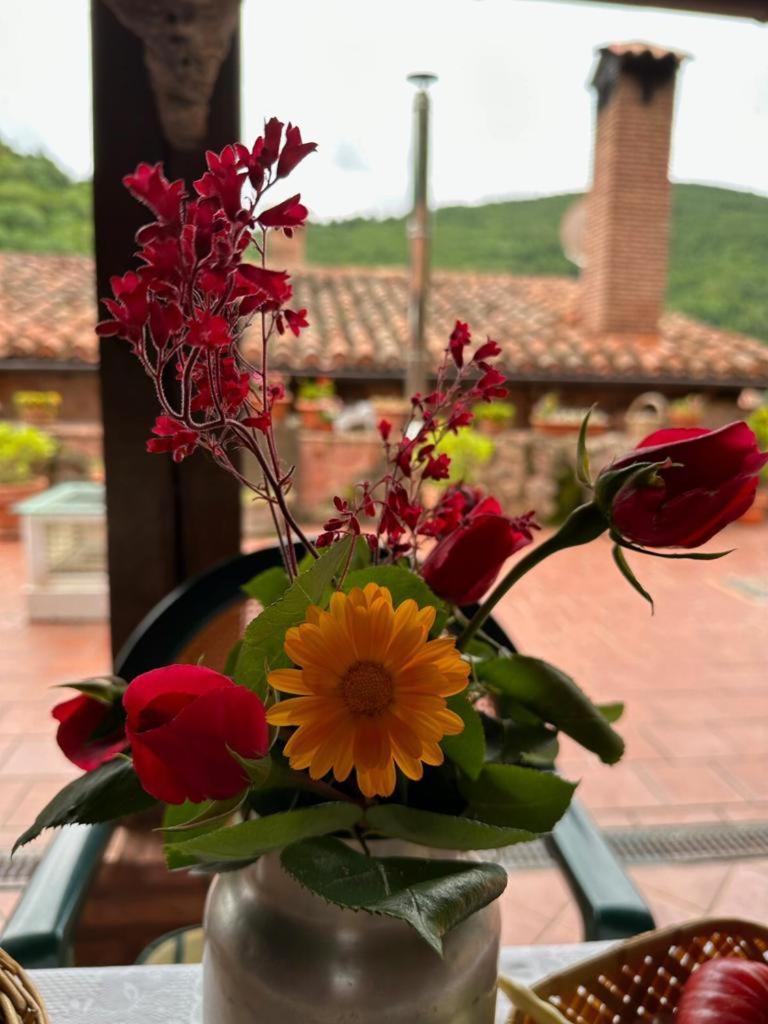 Ezcaray Turza Casa Rural Completa Hasta 8Pax Exterior photo