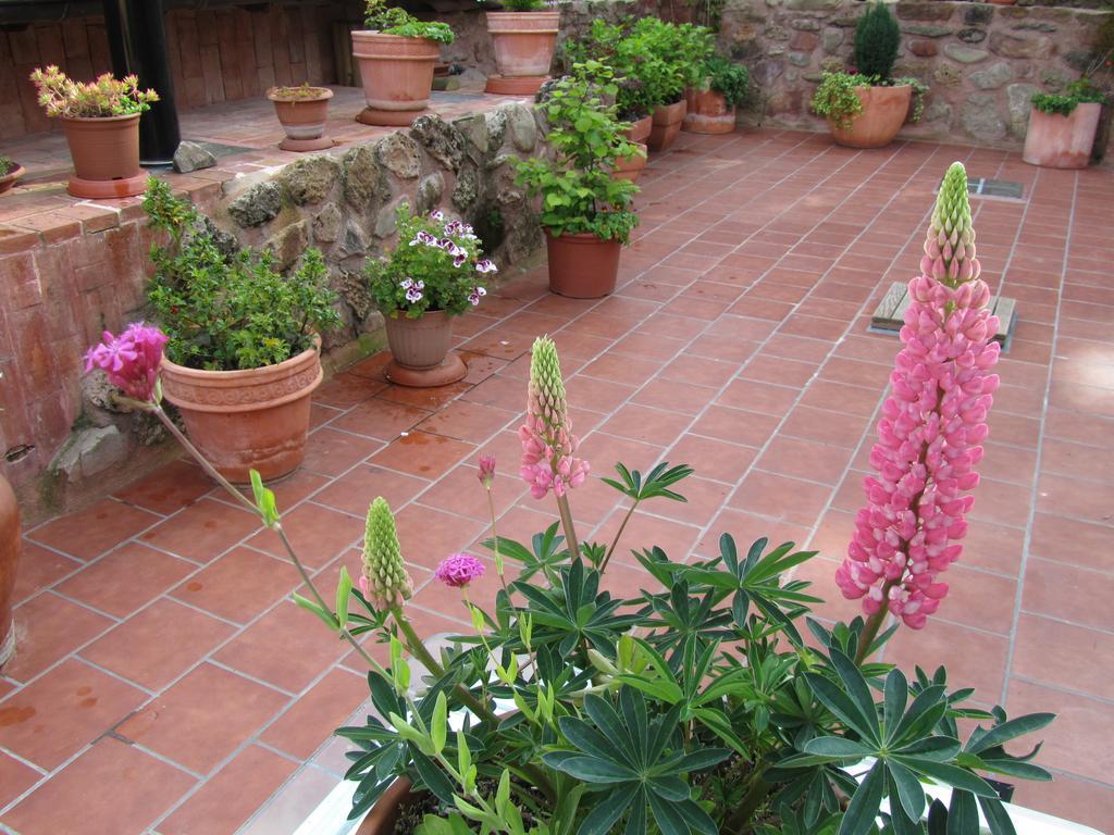 Ezcaray Turza Casa Rural Completa Hasta 8Pax Exterior photo